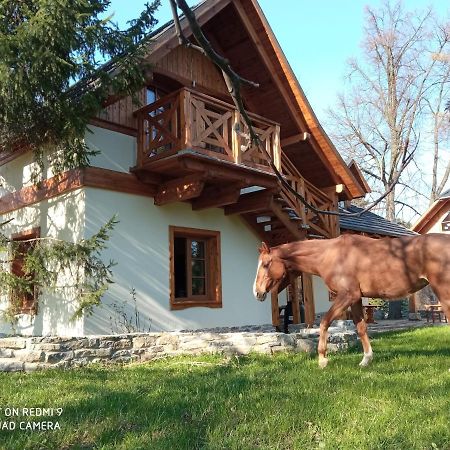 Gniazdo W Parku Hotel Wasniow Buitenkant foto