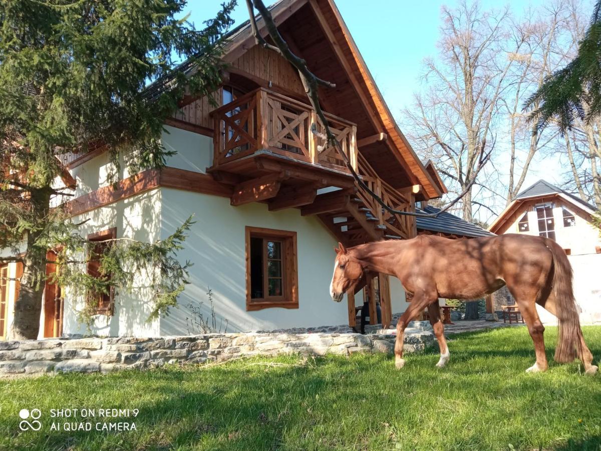 Gniazdo W Parku Hotel Wasniow Buitenkant foto