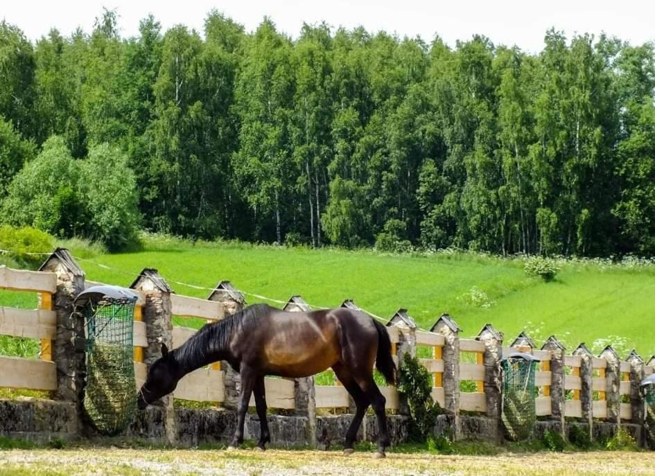 Gniazdo W Parku Hotel Wasniow Buitenkant foto